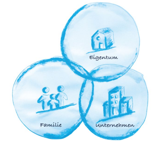Unternehmensverkauf XXVIII: Die Nachfolgegeneration: Erwartungen und Qualifikationen 